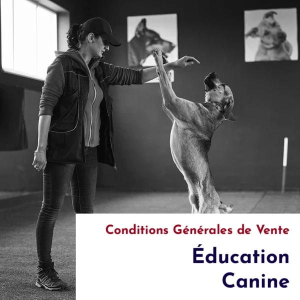 Conditions-Générales-de-Vente-Éducateur-Éductarice-Canin