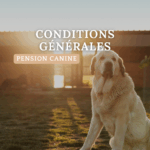 CONDITIONS GENERALES PENSION CANINE