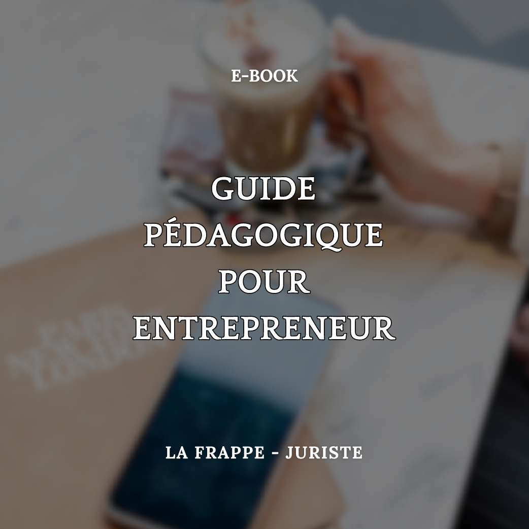 GUIDE PED ENTREPRENEUR GUIDE PEDAGOGIQUE POUR ENTREPRENEUR - EBOOK – Image 1